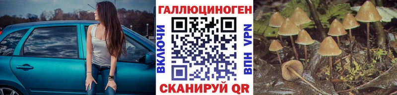 OMG ссылка  Пошехонье  Псилоцибиновые грибы Magic Shrooms 