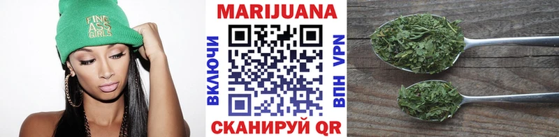закладка  Пошехонье  Бошки марихуана план 